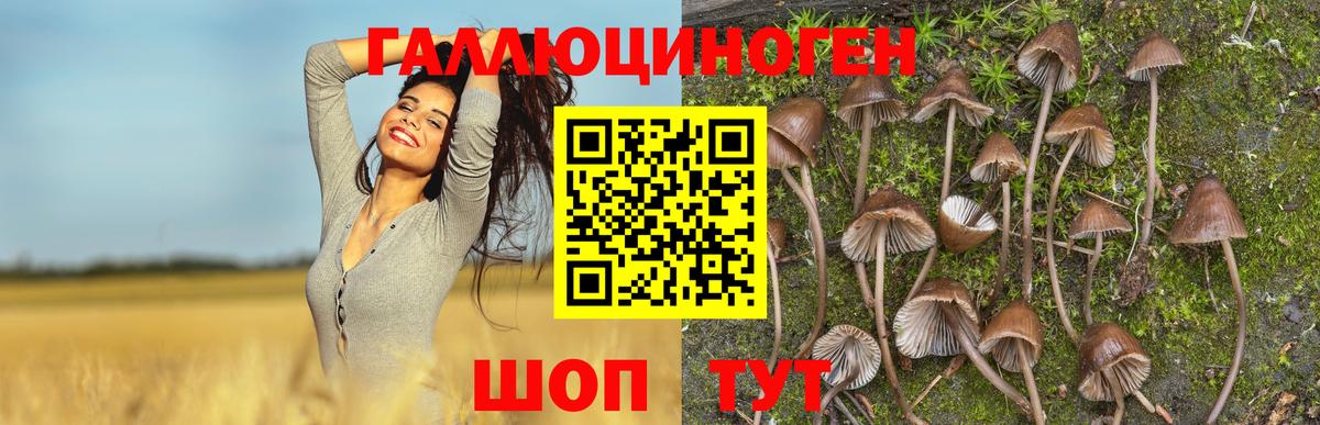 Галлюциногенные грибы Magic Shrooms Белово