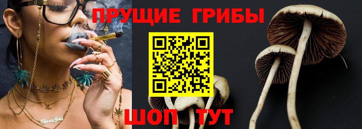 Белово  Галлюциногенные грибы MAGIC MUSHROOMS  Вход с VPN 